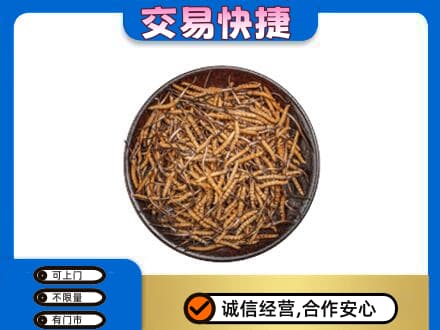 海曙区回收散虫草